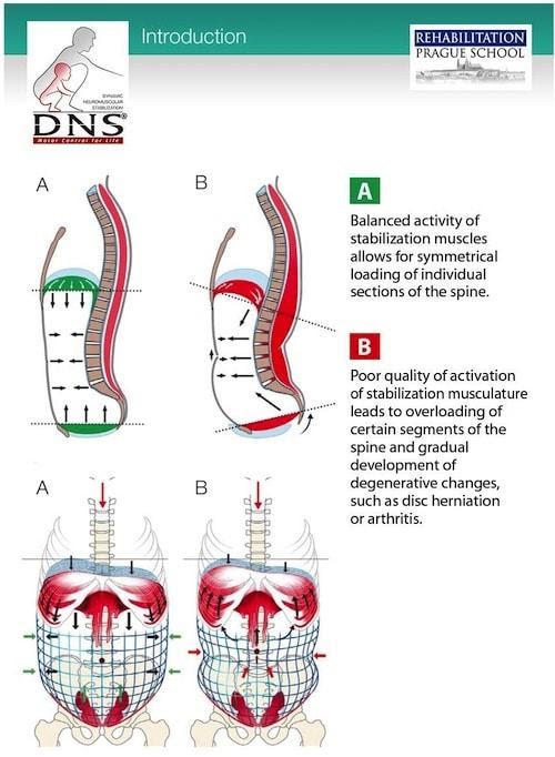 diaphragmatic breathing infographic